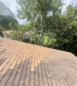 image_33DA023F-E9EB-4194-9BC4-2AA0E6749AF8_1759943809