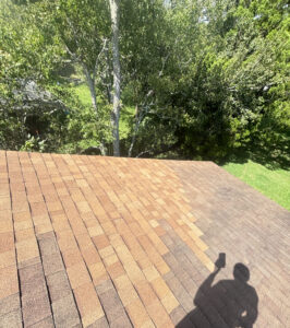 image_FDE597B7-85FF-42B0-B655-48B9625FD6AE_1759943810