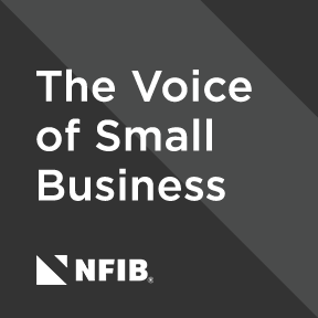 Member, National Federation of Independent Business (NFIB) Florida